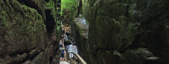 Flume Gorge is one of Lieux qui ont plu à The Traveler.