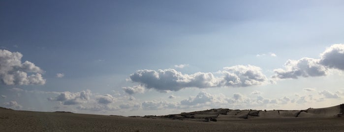 Nakatajima Sand Dune is one of 静岡.