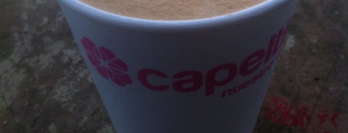 Capeltic, nuestro café is one of Lugares favoritos de Kathia.