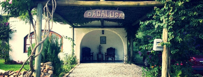 Dagalusa is one of Uruguai.