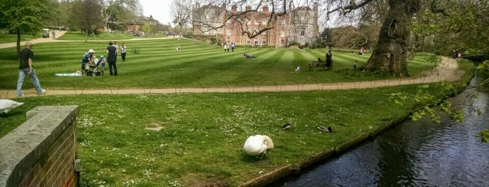 Mottisfont Abbey is one of National Trust.