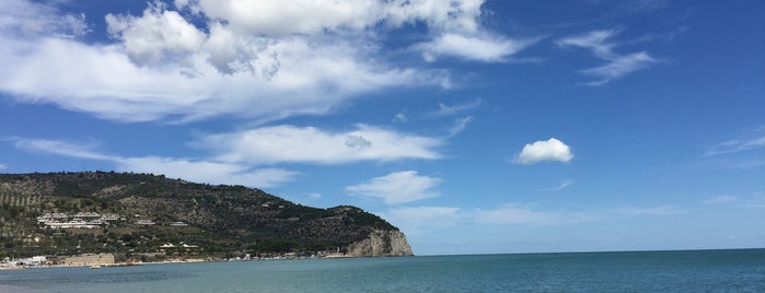 Mattinata, Spiaggia. is one of สถานที่ที่ Fabio ถูกใจ.