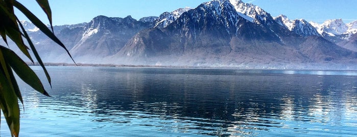 Montreux Lake is one of Fabio : понравившиеся места.