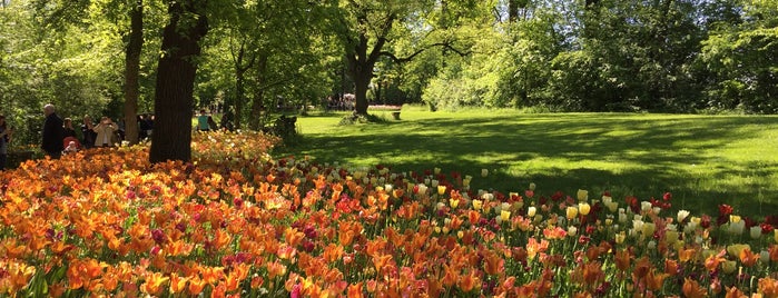Messer tulipano is one of Tempat yang Disukai Fabio.