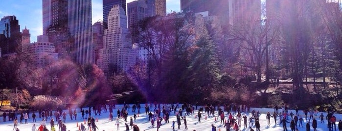Wollman Rink is one of Seb + Daniel are coming to town.