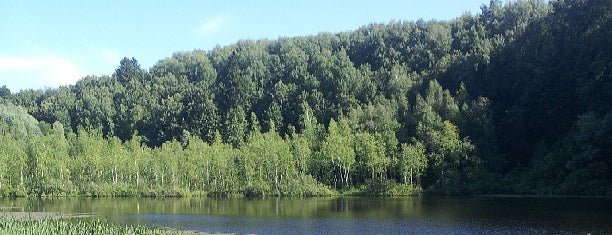 Озеро Лесное is one of Планы, планы.