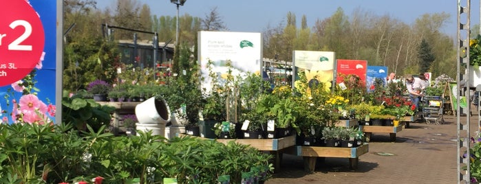 Huntingdon Wyevale Garden Centre is one of where I've been.