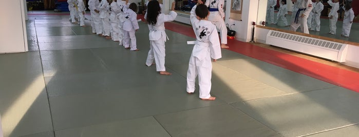 World Martial Arts Center is one of kid stuff.