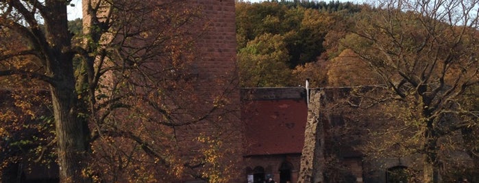Burg Landeck is one of Lieux qui ont plu à NikNak.