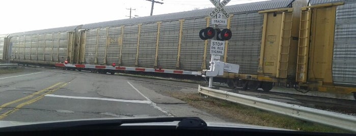 The Worlds Slowest Train is one of b ~ check !.