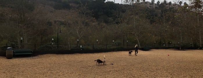 Oberrieder Dog Park is one of In Service of the dog.