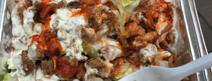Adel's best #1 Halal Food Cart is one of NY.