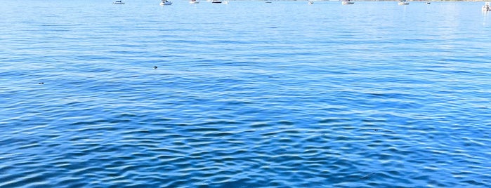 The Bayside Marina is one of Frequent places.