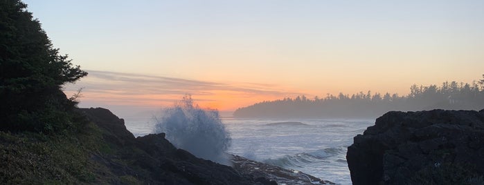 Pettinger Point is one of Tofino.