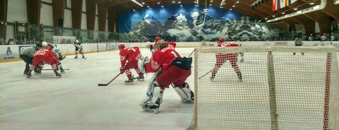 Ice Arena is one of Rostov papa.