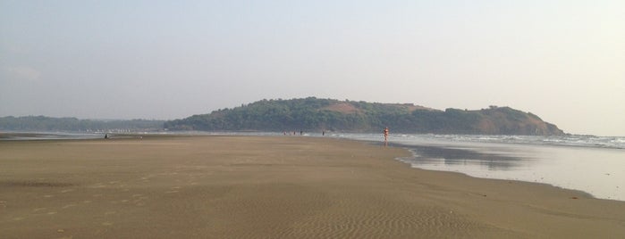 Morjim Beach is one of India Travel Guide.