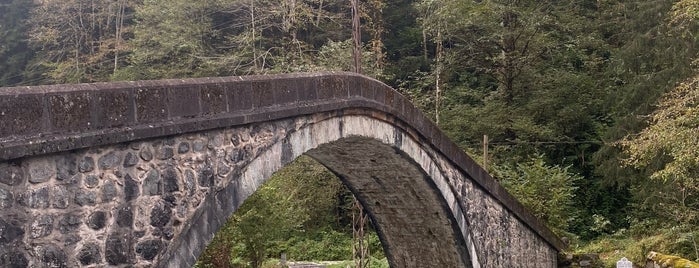 Kale (Hala) Köprüsü is one of RİZE.