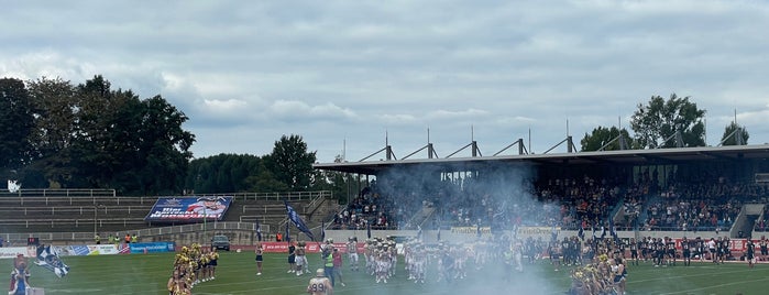 Heinz-Steyer-Stadion is one of Dresden (City Guide).