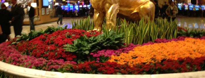 MGM Grand Lion Statue is one of Been to.