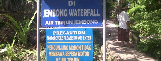 Jembong waterfall is one of Водопады | BALI | Waterfalls.