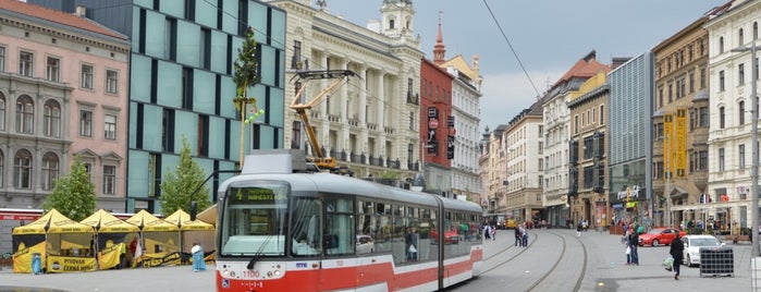 Brno is one of Obce s rozšířenou působností ČR.