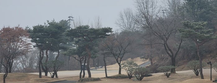 양주CC is one of Golfing.