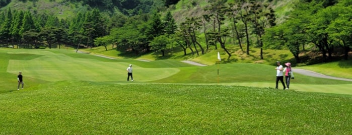 Seowon Valley Country Club is one of Golfing.