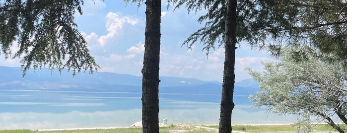 Burdur Gölü Kuş Cenneti is one of AfynKthyUşkDnzlBrdrIsparta.