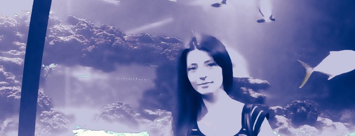 Океанаріум «Морська казка» is one of Posti che sono piaciuti a Irina.