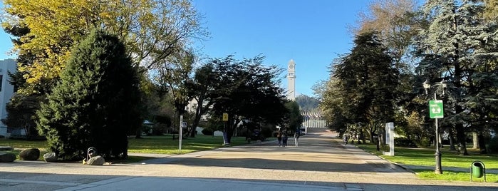 Arco Universidad de Concepción is one of Tiendas De Concepción De Chile.