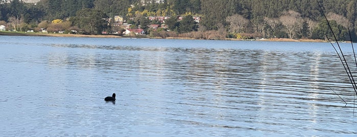 Laguna Grande San Pedro is one of Penquista de corazón <3.