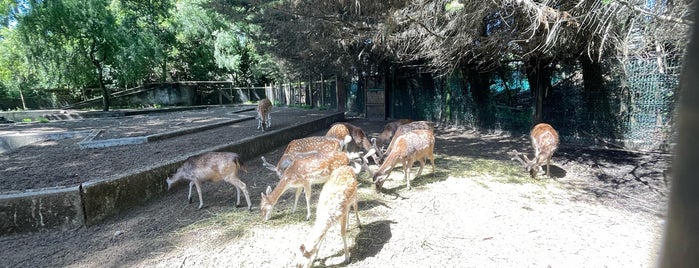 Parque Jorge Alessandri is one of Imperdible Concepción.