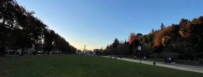 Prado Central de la Universidad de Concepción is one of Tiendas De Concepción De Chile.