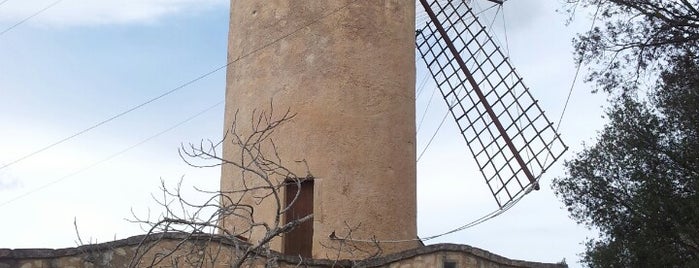 Museu Arqueològic de Son Fornés is one of Tempat yang Disukai Potti.