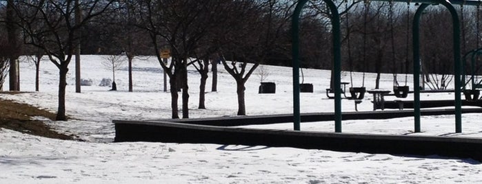 Horner Park is one of Lincoln Square Zone.