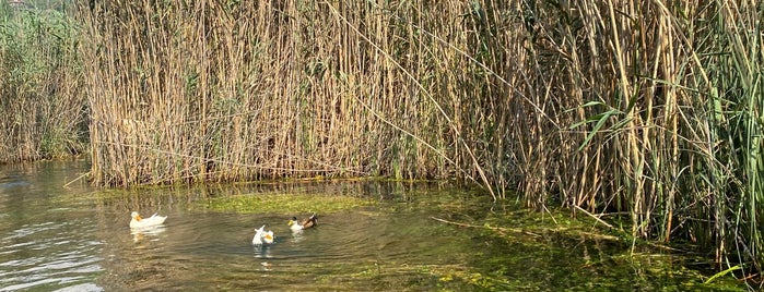 Kadın Azmağı is one of Lugares favoritos de Aydoğan.