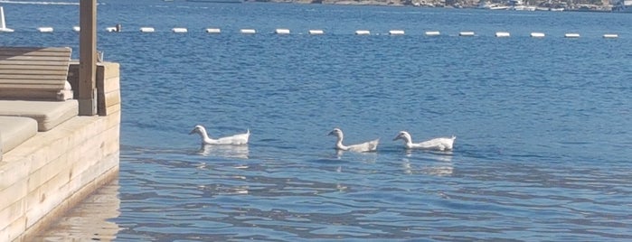 Maçakızı Beach is one of Bodrum'un En İyileri 🏖.