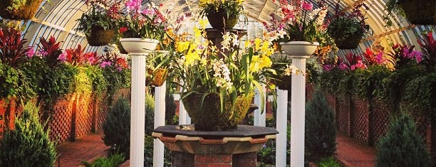 Phipps Conservatory and Botanical Gardens is one of Locais curtidos por Brian.