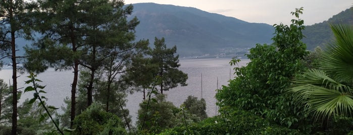 My Marina Restaurant is one of Lieux qui ont plu à Serhan.