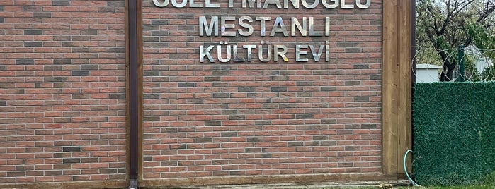 Naim Süleymanoğlu Mestanlı Kültür Evi is one of Gidilecek.