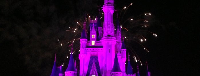 Wishes Nighttime Spectacular is one of My vacation @ FL.