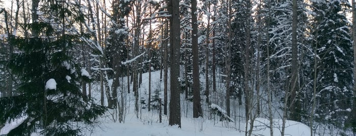 Горнолыжный склон в Орехово is one of Locais curtidos por Alik.