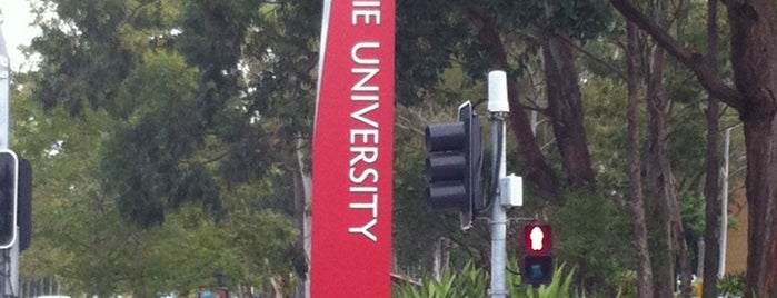 Macquarie University is one of Macquarie University.