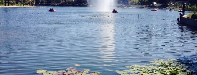 Echo Park Lake is one of Best Thing to Do in Los Angeles on a Sunny Day.