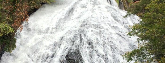 Yudaki Falls is one of 栃木.