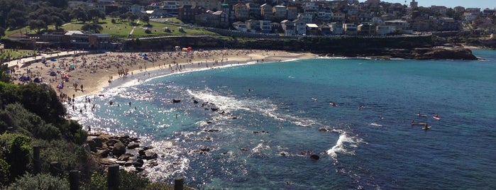 Clovelly Beach is one of Sydney Must visit places.
