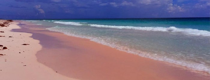 Pink Sands Beach is one of My Bahamas.