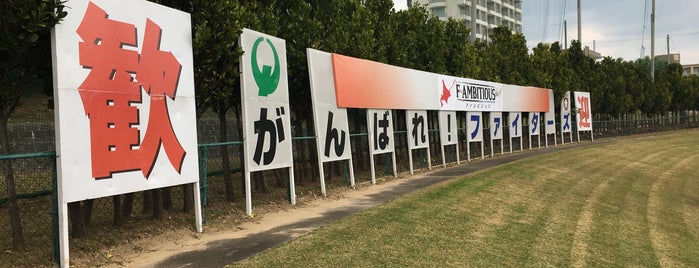 北海道日本ハムファイターズ キャンプ is one of プロ野球キャンプ.