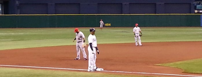 Tropicana Field is one of MLB.