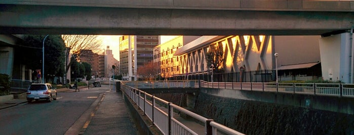 霊峰橋 is one of 善福寺川に架かる橋.